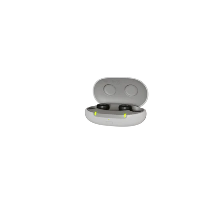 Signia Pure Charge &amp; Go AX - Hearing Aids
